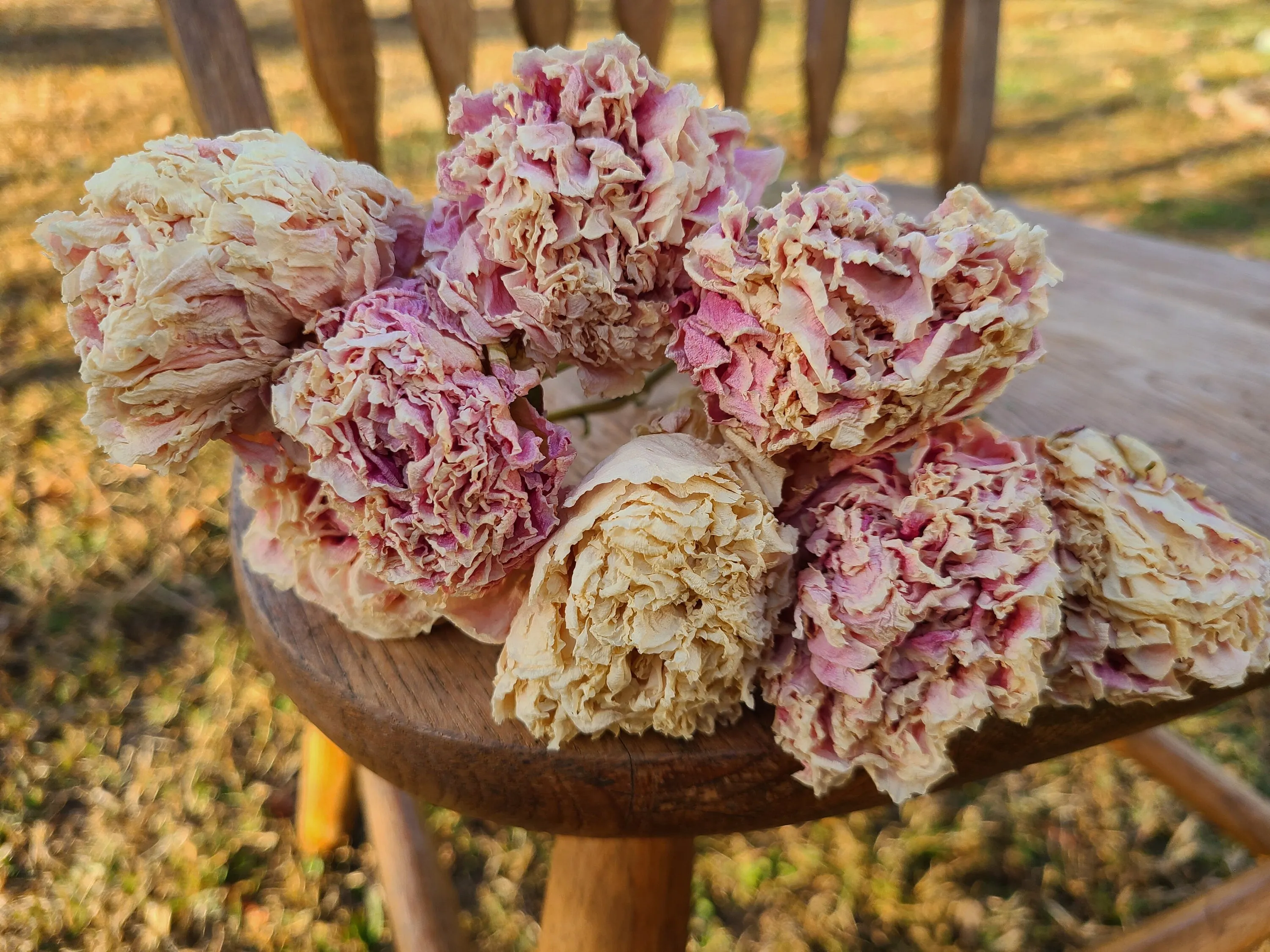 Dried peonies for weddings, dried peony bouquet, dried peony bunch, dried flowers for vase, rose substitute, peonies, pink peony