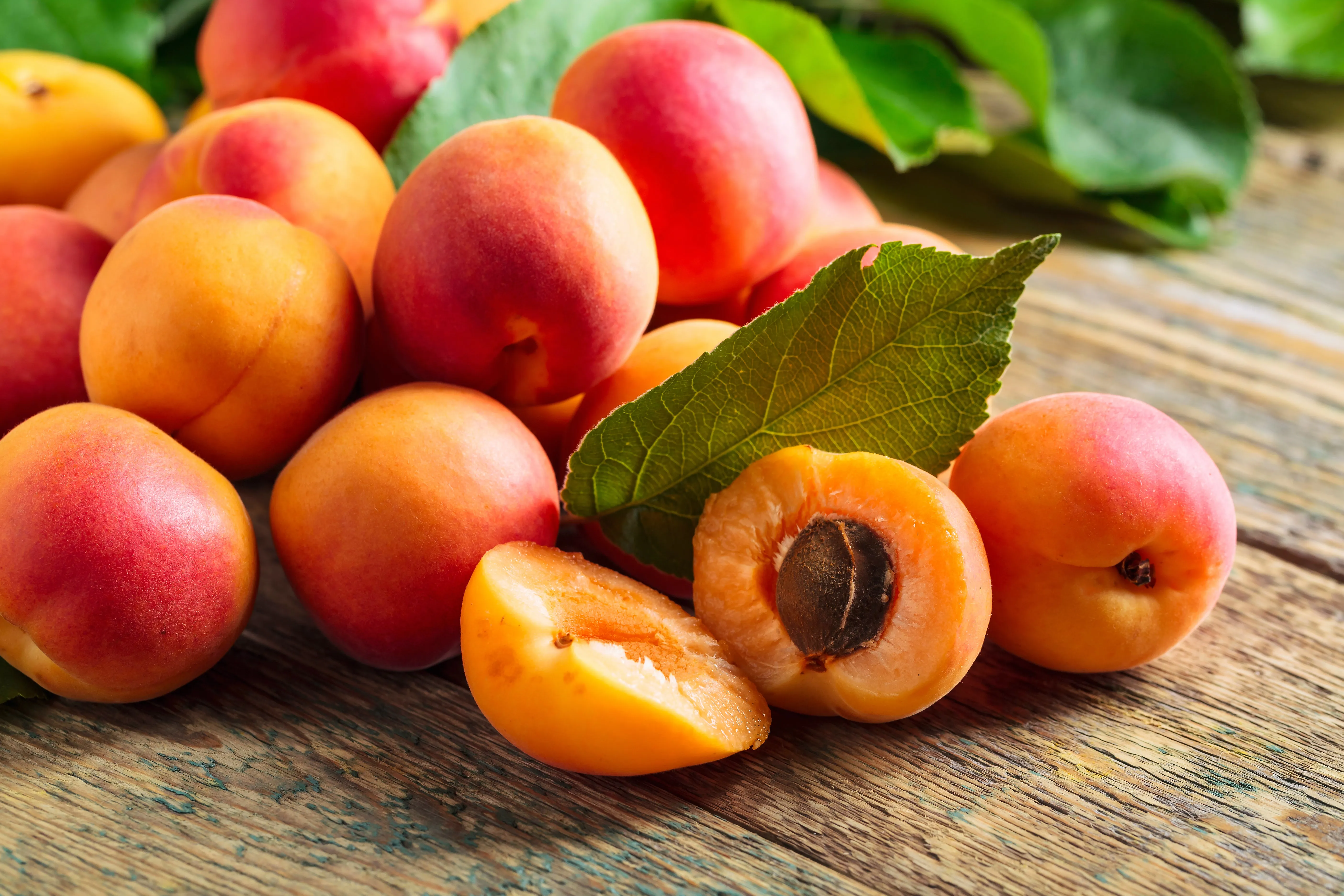 Goody's Color Club - June '23 Apricot
